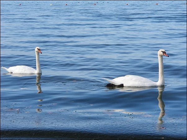 Lazise2021030.jpg
