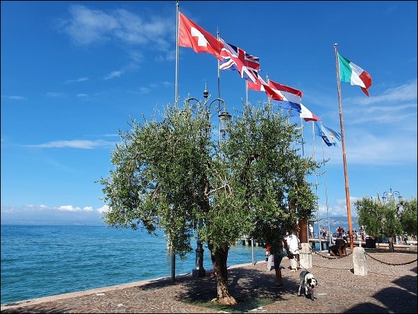 Lazise2021043.jpg