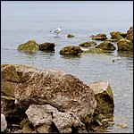 Lazise2021013.jpg