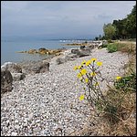 Lazise2021017.jpg