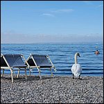 Lazise2021029.jpg