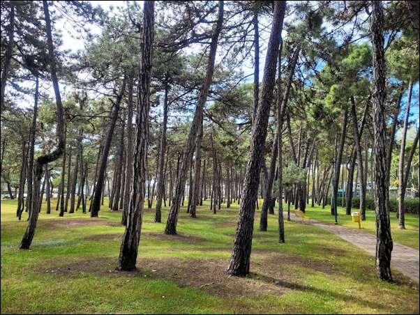 Lignano22020.jpg