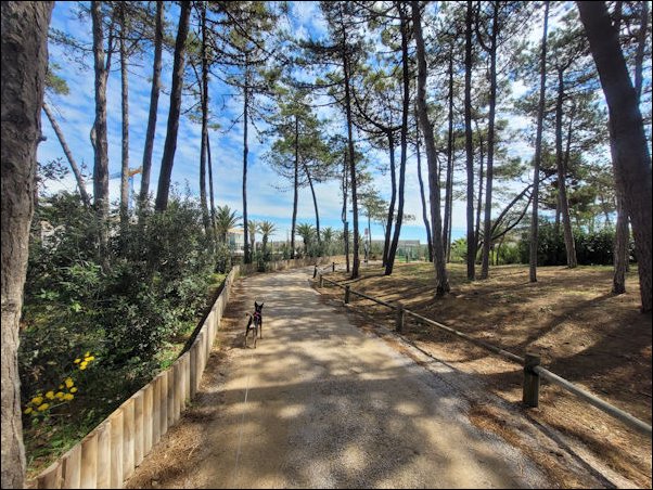 Lignano22022.jpg