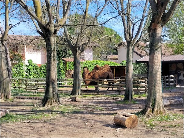 Lignano22030.jpg