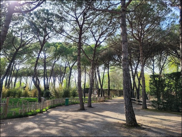 Lignano22039.jpg