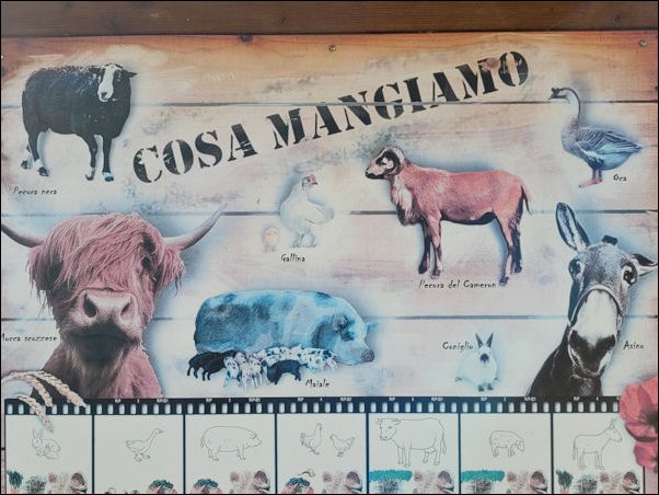 Lignano22044.jpg