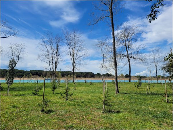 Lignano22059.jpg