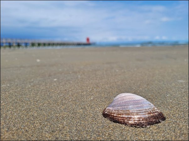 Lignano22086.jpg