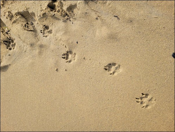 Lignano22107.jpg