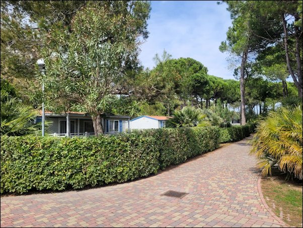 Lignano22119.jpg