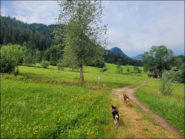 Fieberbrunn22026.jpg