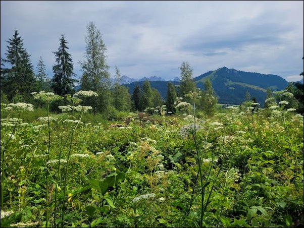 Fieberbrunn22028.jpg