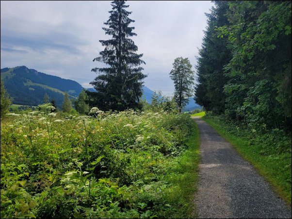 Fieberbrunn22029.jpg