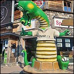 Fieberbrunn22019.jpg