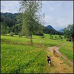 Fieberbrunn22026.jpg