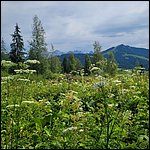 Fieberbrunn22028.jpg