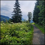 Fieberbrunn22029.jpg