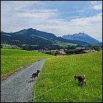Fieberbrunn22036.jpg